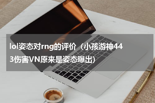 lol姿态对rng的评价（小孩游神443伤害VN原来是姿态曝出）