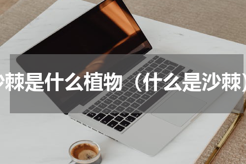 沙棘是什么植物（什么是沙棘）