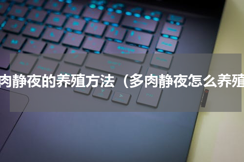 多肉静夜的养殖方法（多肉静夜怎么养殖）