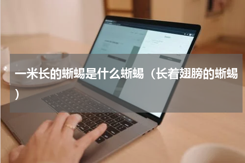 一米长的蜥蜴是什么蜥蜴（长着翅膀的蜥蜴）