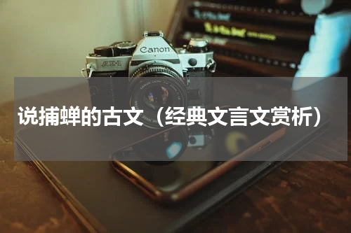 说捕蝉的古文（经典文言文赏析）