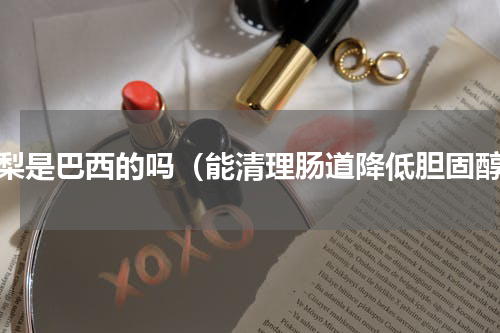 鳄梨是巴西的吗（能清理肠道降低胆固醇）