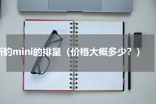 新豹mini的排量（价格大概多少？）