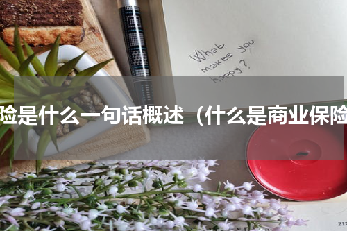 保险是什么一句话概述（什么是商业保险）