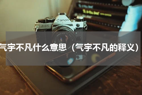 气宇不凡什么意思（气宇不凡的释义）