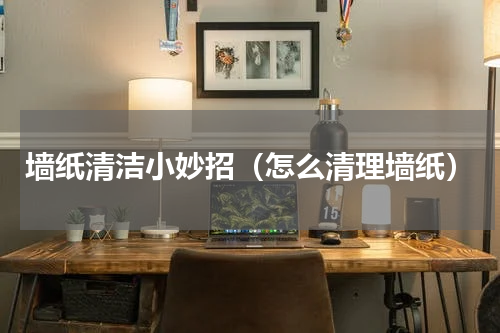 墙纸清洁小妙招（怎么清理墙纸）