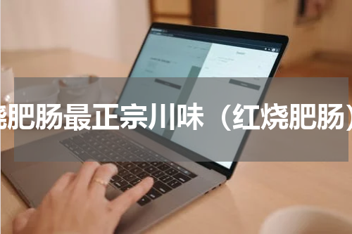 烧肥肠最正宗川味（红烧肥肠）