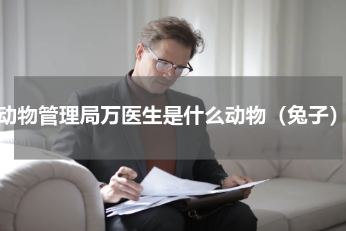 动物管理局万医生是什么动物（兔子）