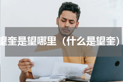 望奎是望哪里（什么是望奎）