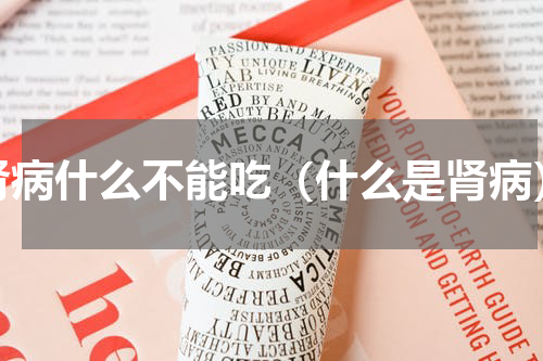 肾病什么不能吃（什么是肾病）