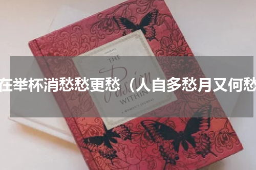 人在举杯消愁愁更愁（人自多愁月又何愁）