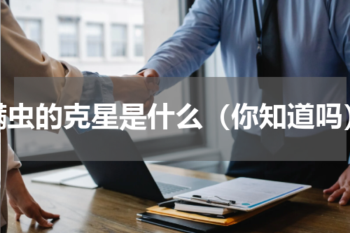 螨虫的克星是什么（你知道吗）