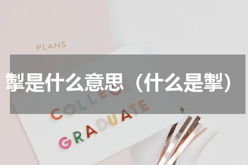 掣是什么意思（什么是掣）