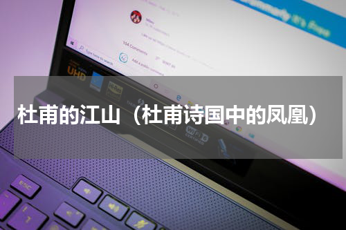 杜甫的江山（杜甫诗国中的凤凰）