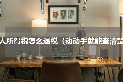 个人所得税怎么退税（动动手就能查清楚）