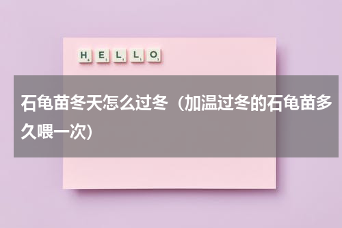 石龟苗冬天怎么过冬（加温过冬的石龟苗多久喂一次）