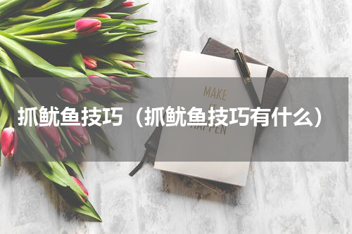 抓鱿鱼技巧（抓鱿鱼技巧有什么）