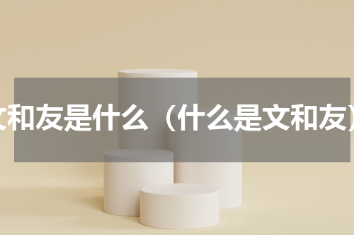 文和友是什么（什么是文和友）