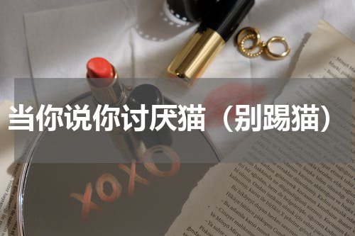 当你说你讨厌猫（别踢猫）