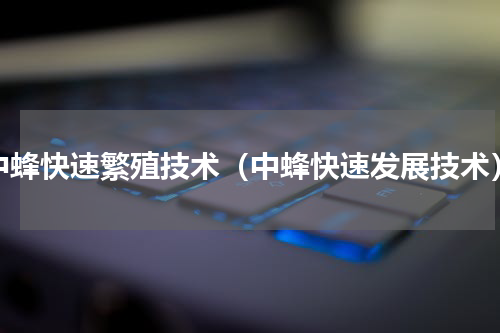 中蜂快速繁殖技术（中蜂快速发展技术）