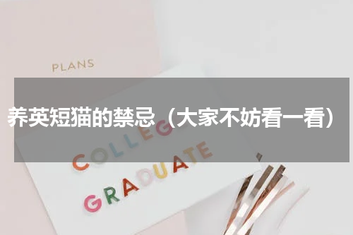 养英短猫的禁忌（大家不妨看一看）