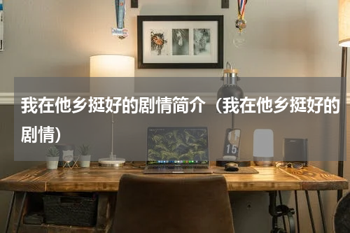 我在他乡挺好的剧情简介（我在他乡挺好的剧情）