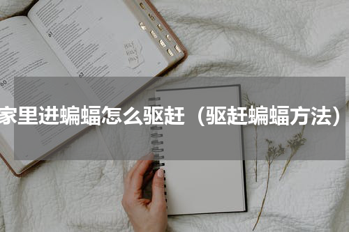 家里进蝙蝠怎么驱赶（驱赶蝙蝠方法）