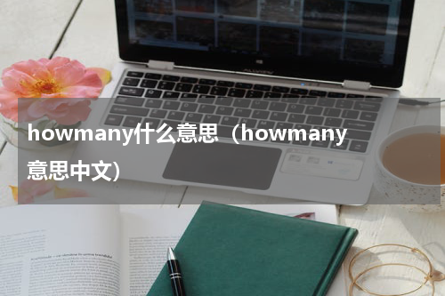 howmany什么意思（howmany意思中文）