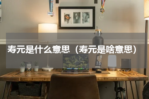 寿元是什么意思（寿元是啥意思）