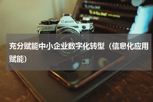充分赋能中小企业数字化转型（信息化应用赋能）