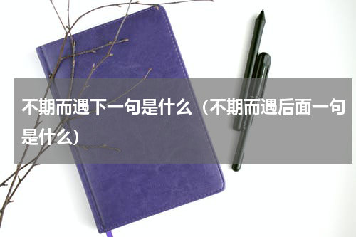 不期而遇下一句是什么（不期而遇后面一句是什么）