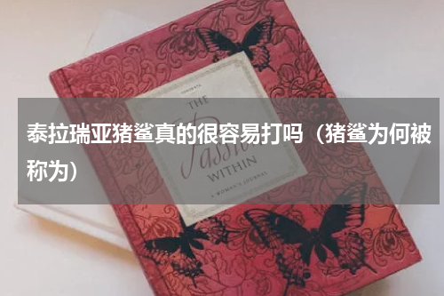 泰拉瑞亚猪鲨真的很容易打吗（猪鲨为何被称为）