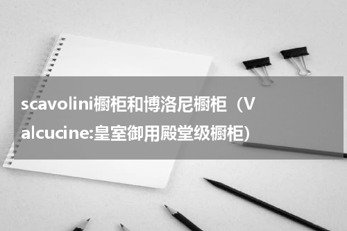 scavolini橱柜和博洛尼橱柜（Valcucine:皇室御用殿堂级橱柜）