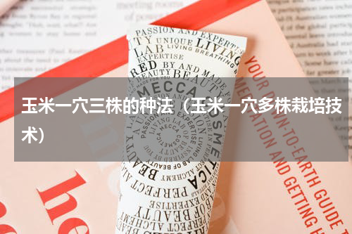 玉米一穴三株的种法（玉米一穴多株栽培技术）