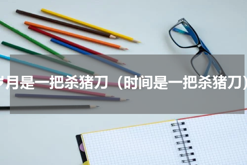 岁月是一把杀猪刀（时间是一把杀猪刀）