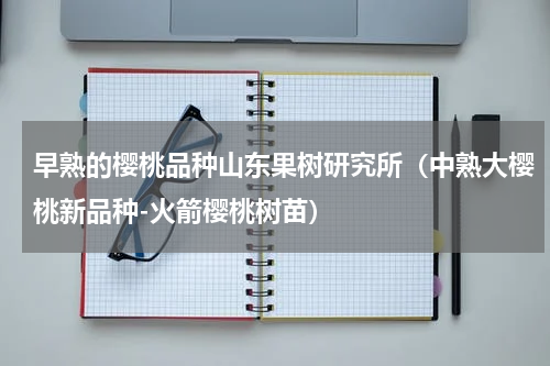 早熟的樱桃品种山东果树研究所（中熟大樱桃新品种-火箭樱桃树苗）