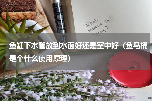 鱼缸下水管放到水面好还是空中好（鱼马桶是个什么使用原理）