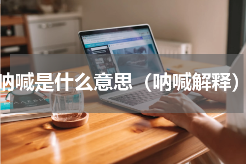 呐喊是什么意思（呐喊解释）