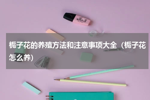 栀子花的养殖方法和注意事项大全（栀子花怎么养）