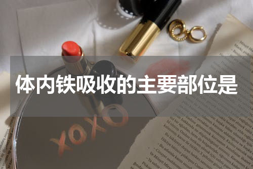 体内铁吸收的主要部位是