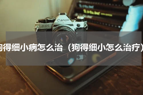 狗得细小病怎么治（狗得细小怎么治疗）