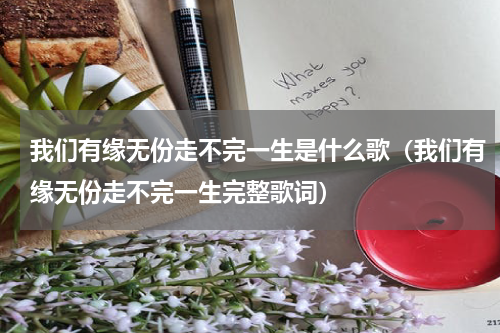 我们有缘无份走不完一生是什么歌（我们有缘无份走不完一生完整歌词）