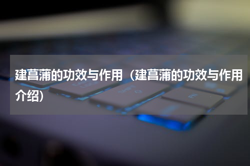 建菖蒲的功效与作用（建菖蒲的功效与作用介绍）