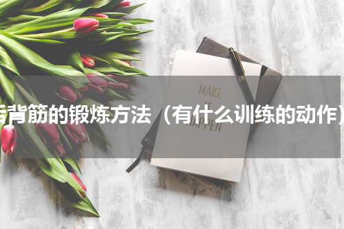 后背筋的锻炼方法（有什么训练的动作）