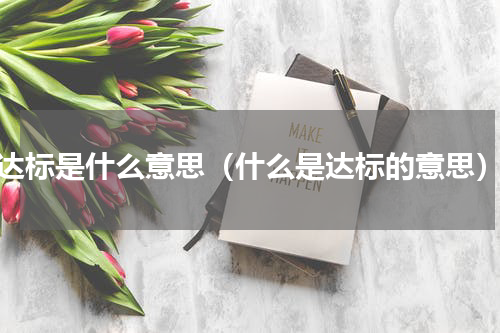达标是什么意思（什么是达标的意思）