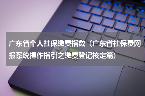 广东省个人社保缴费指数（广东省社保费网报系统操作指引之缴费登记核定篇）