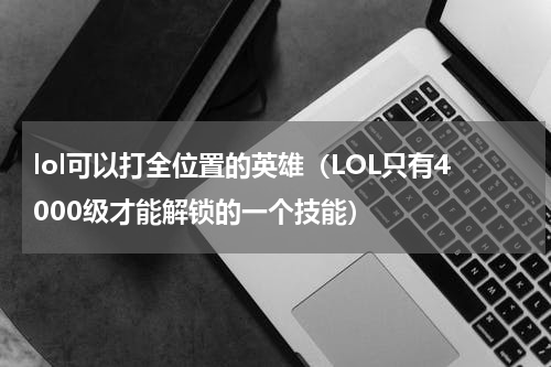 lol可以打全位置的英雄（LOL只有4000级才能解锁的一个技能）