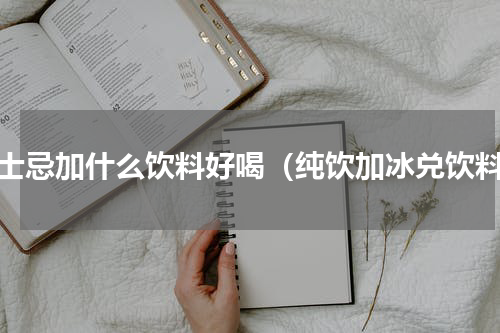 威士忌加什么饮料好喝（纯饮加冰兑饮料）