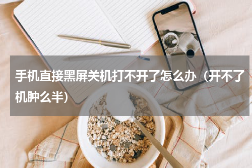 手机直接黑屏关机打不开了怎么办（开不了机肿么半）