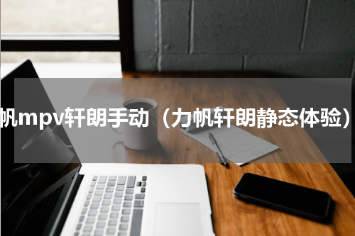 力帆mpv轩朗手动（力帆轩朗静态体验）